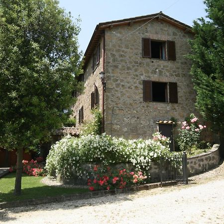 La Locanda Della Chiocciola Orte Exterior photo